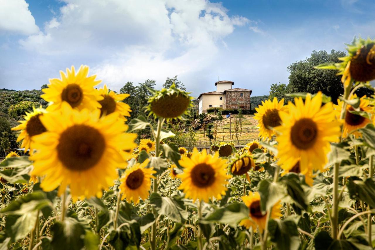 Palagina La Cascina Villa Figline Valdarno Bagian luar foto