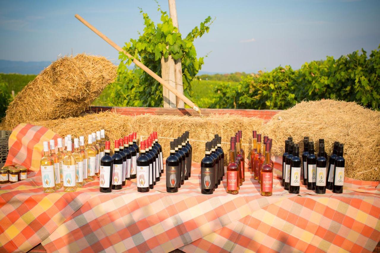 Palagina La Cascina Villa Figline Valdarno Bagian luar foto