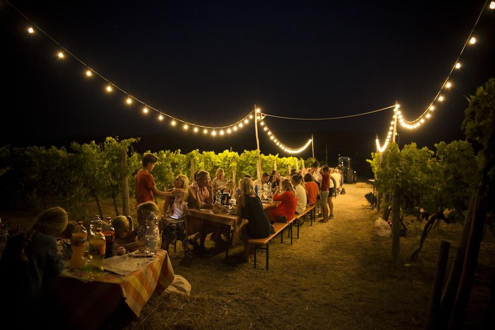Palagina La Cascina Villa Figline Valdarno Bagian luar foto