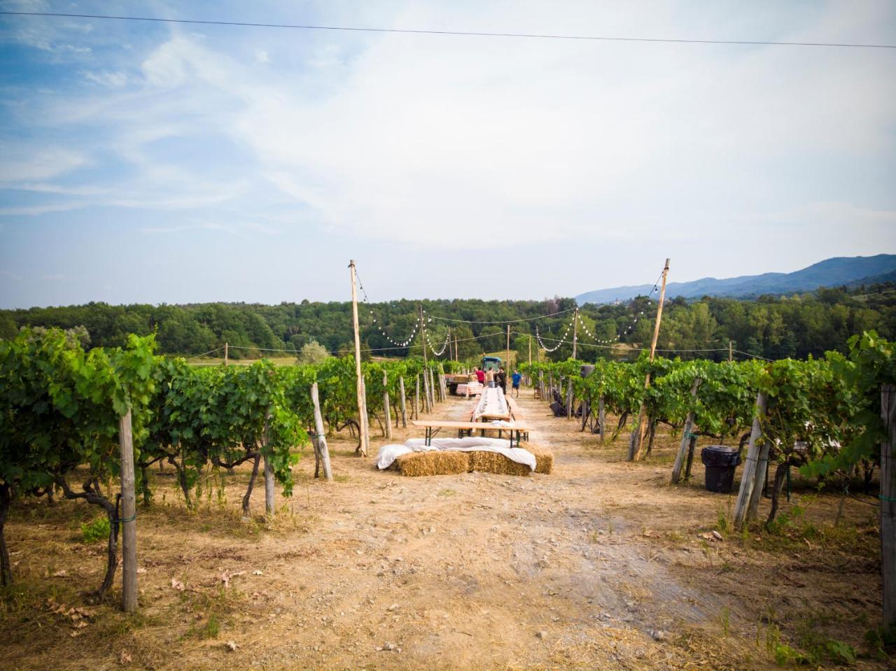 Palagina La Cascina Villa Figline Valdarno Bagian luar foto