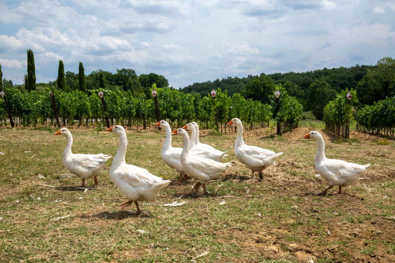 Palagina La Cascina Villa Figline Valdarno Bagian luar foto
