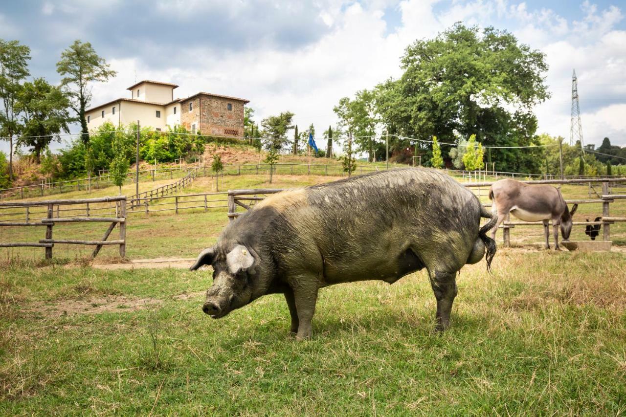 Palagina La Cascina Villa Figline Valdarno Bagian luar foto