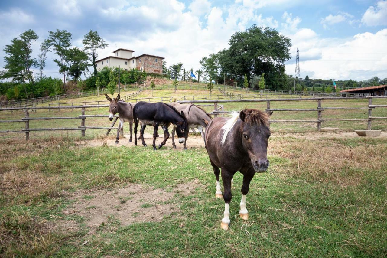 Palagina La Cascina Villa Figline Valdarno Bagian luar foto